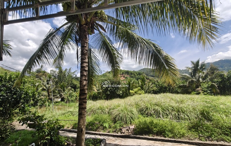 Bán đất nghỉ dưỡng view đẹp tại Khánh Hòa - Hoa hồng cho môi giới: 2%